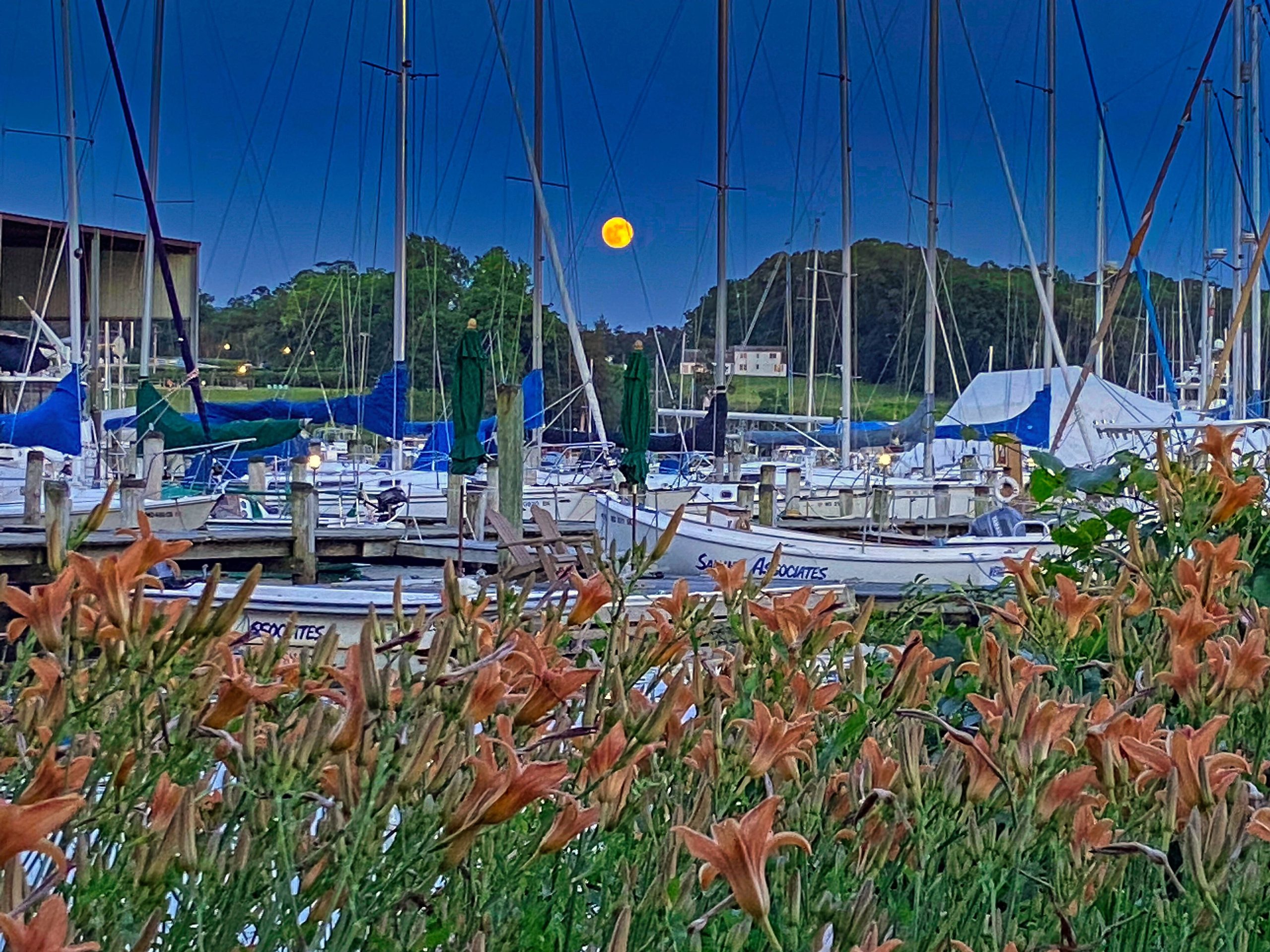 Sailing Associates